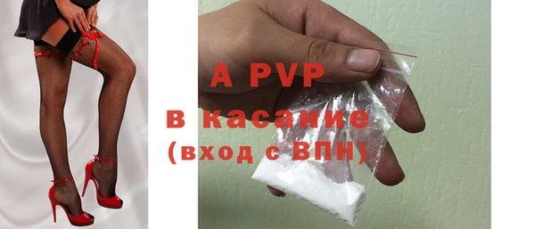 индика Саяногорск