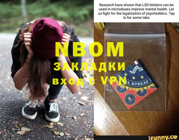 индика Саяногорск