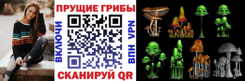 Псилоцибиновые грибы ЛСД хочу Волхов